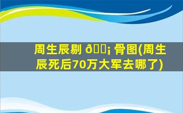 周生辰剔 🐡 骨图(周生辰死后70万大军去哪了)